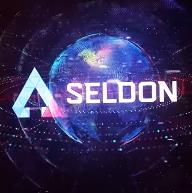 Как работать с Seldon.Pro?